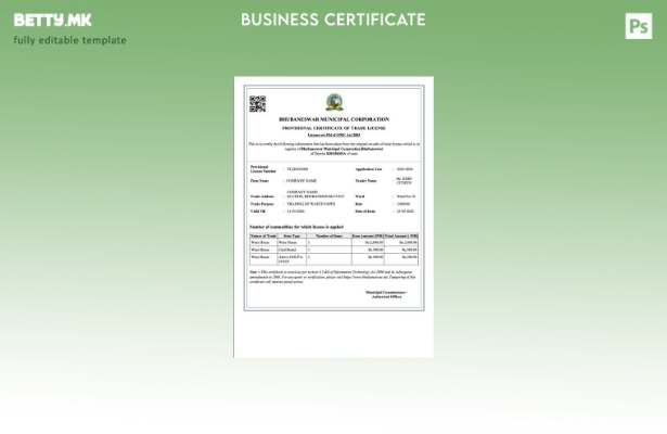 модерен стил Индија Bhubaneswar привремен сертификат за трговска лиценца Шаблон 